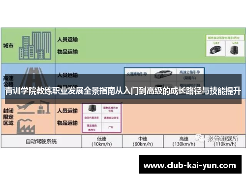 青训学院教练职业发展全景指南从入门到高级的成长路径与技能提升